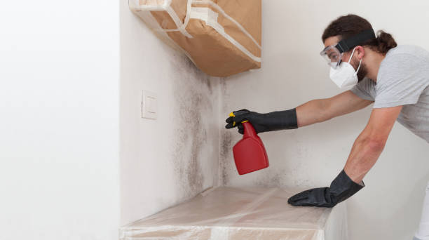 Professional Crawl Space Mold Remediation technician working in Sparta, GA