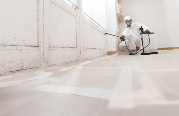 24/7 Emergency Crawl Space Mold Remediation experts in Sparta, GA