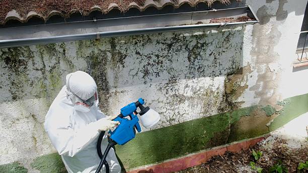 Top rated local Crawl Space Mold Remediation specialists in Sparta, GA